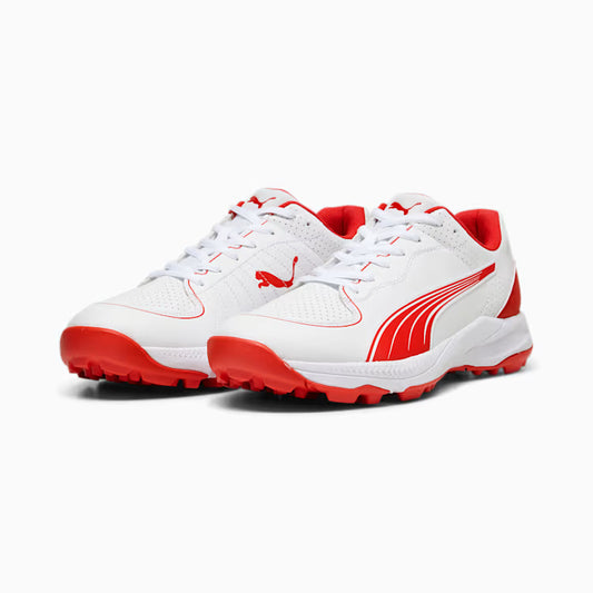 10769901 PUMA 24 FH Rubber