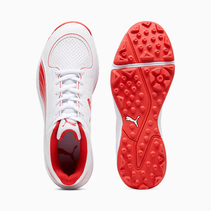 10769901 PUMA 24 FH Rubber