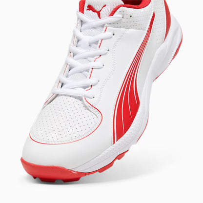 10769901 PUMA 24 FH Rubber