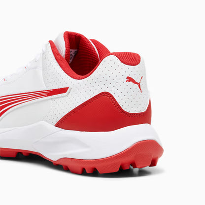 10769901 PUMA 24 FH Rubber