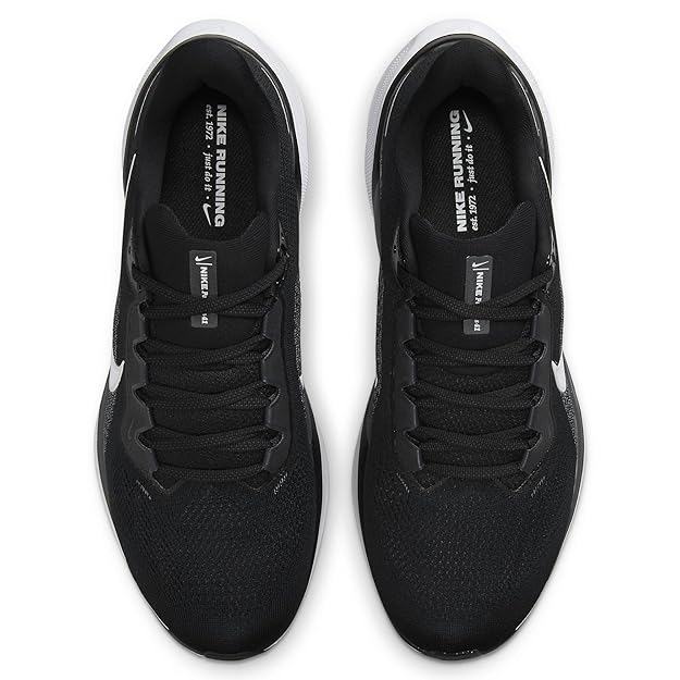 FD2722-002-AIR ZOOM PEGASUS 41