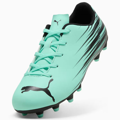 10849608-ATTACANTO II FG/AG Jr PUMA Mint Jelly Black