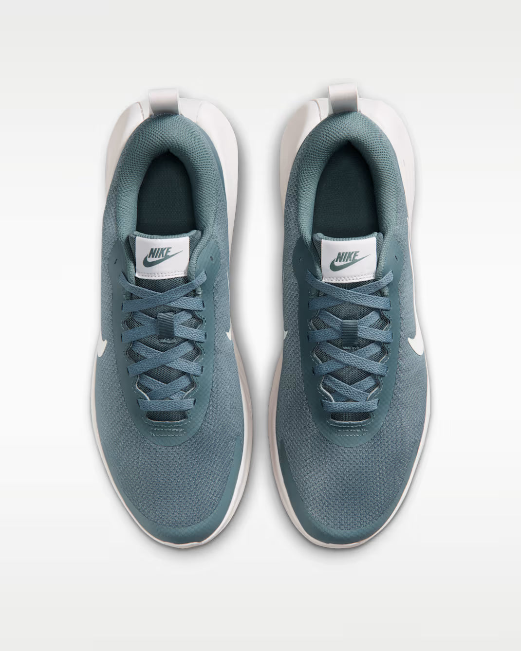 FV5285-302 Nike Promina