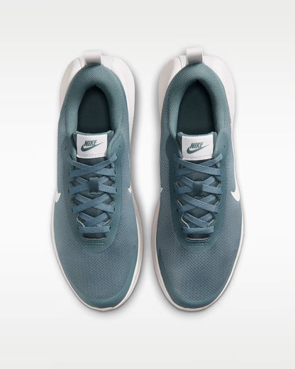 FV5285-302 Nike Promina