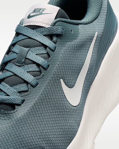 FV5285-302 Nike Promina