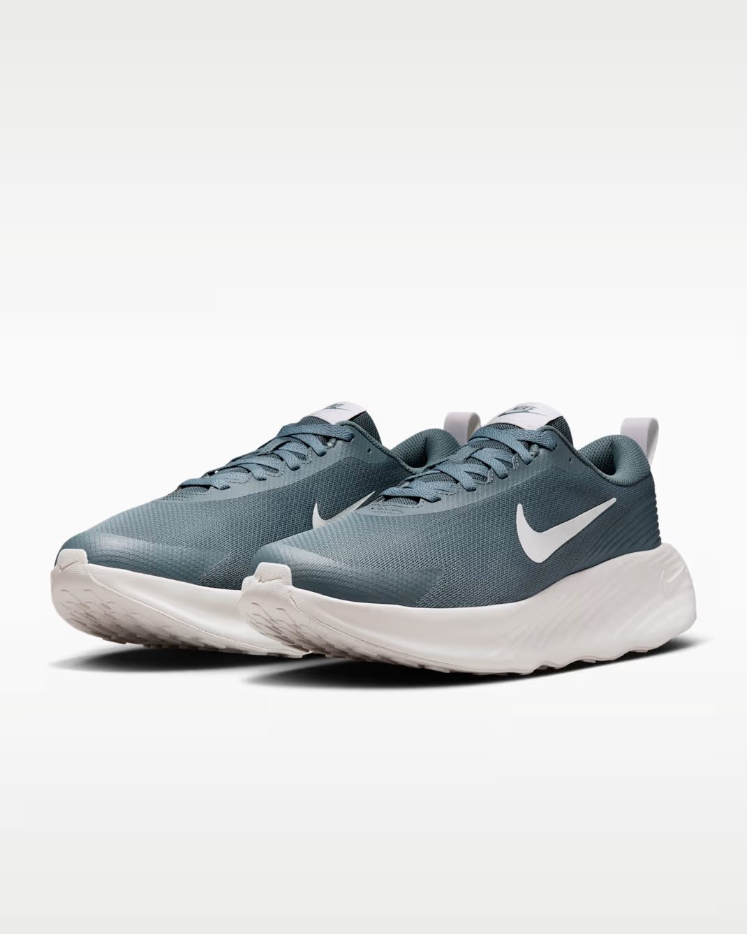 FV5285-302 Nike Promina